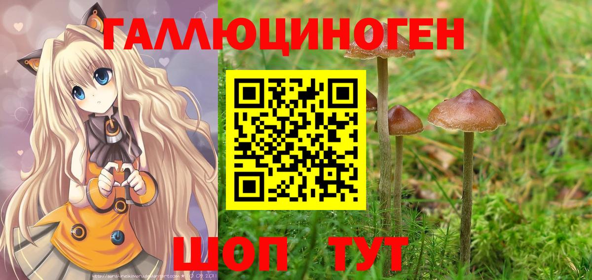 Псилоцибиновые грибы мицелий Бирск